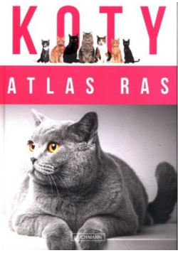 Koty Atlas Ras