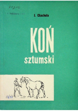 Koń sztumski