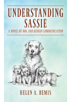 Understanding Sassie