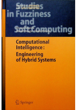 Computational Intellegence Engineering of Hybrid Systems