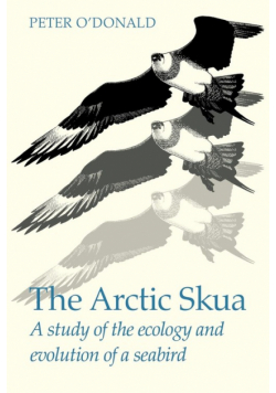 The Arctic Skua