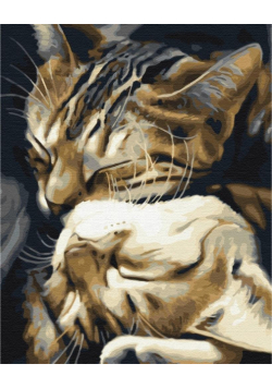 Malowanie po numerach Śpiące koty 40x50cm