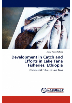 Development in Catch and Efforts in Lake Tana Fisheries, Ethiopia