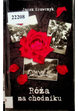 Róża na chodniku