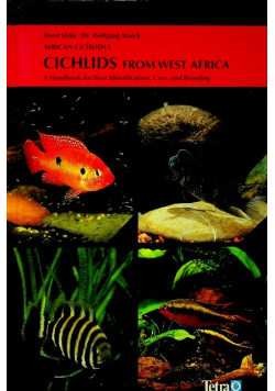 Cichlids From West Africa