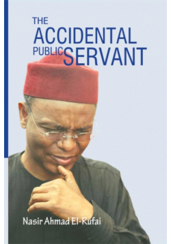 The Accidental Public Servant
