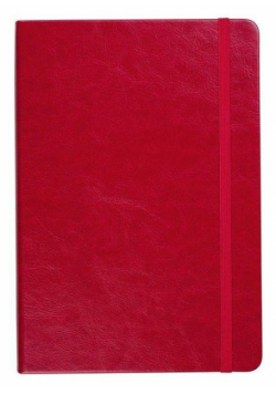 Notes A5 Linia Formalizm Czerwony ANTRA
