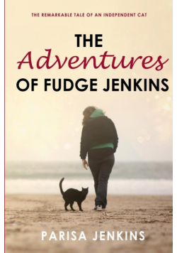 The Adventures of Fudge Jenkins