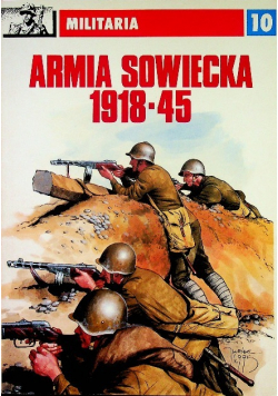 Militaria Armia Sowiecka 1918 45