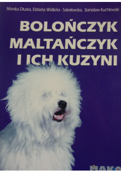 Bolończyk Maltańczyk i ich kuzyni