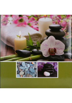 Fotoalbum kieszeniowy segregator PP-46500 Orchid 1