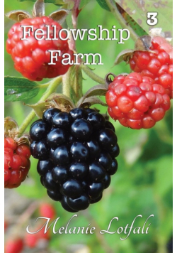 Fellowship Farm 3