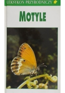 Motyle