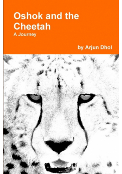 Oshok and the Cheetah