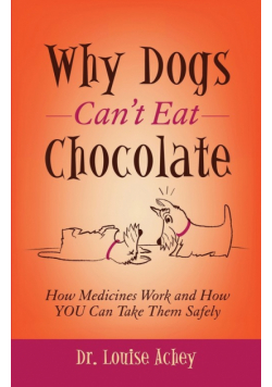 Why Can't Dogs Eat Chocolate