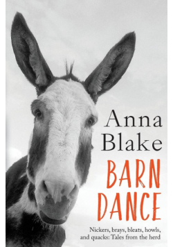 Barn Dance