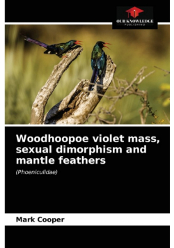 Woodhoopoe violet mass, sexual dimorphism and mantle feathers