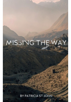 Missing The Way