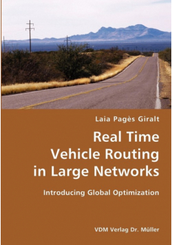 Real Time Vehicle Routing in Large Networks- Introducing Global Optimization