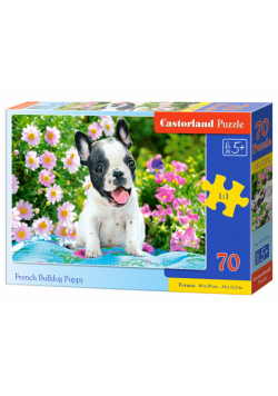 Puzzle 70 el. B-070152 French Bulldog Puppy