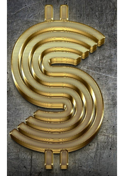 Gold Bling Dollar Sign writing drawing Journal