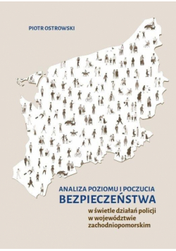 Analiza poziomu i poczucia bezpieczeństwa..
