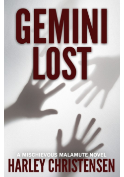 Gemini Lost