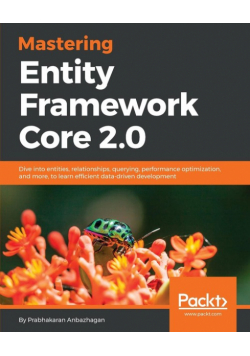 Mastering Entity Framework Core 2.0