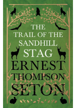 The Trail Of The Sandhill Stag