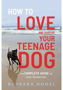 How to Love and Survive Your Teenage Dog