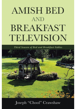 Amish Bed and Breakfast Television
