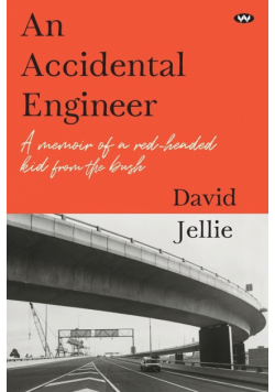 An Accidental Engineer