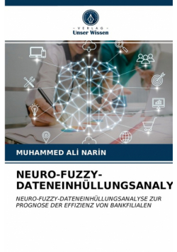 Neuro-Fuzzy-Dateneinhüllungsanalyse