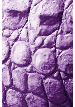 Alive! crocodile skin - Violet duotone - Photo Art Notebooks (6 x 9 series)
