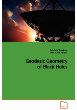 Geodesic Geometry of Black Holes