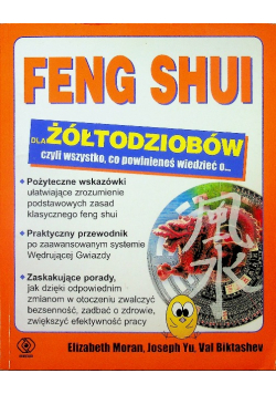 Feng shui dla żółtodziobów