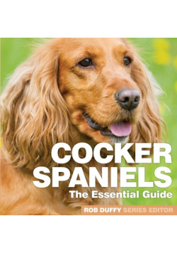 Cocker Spaniels
