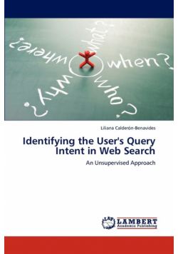 Identifying the User's Query Intent in Web Search