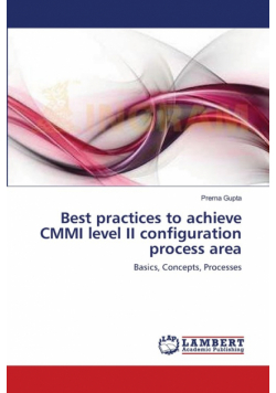 Best practices to achieve CMMI level II configuration process area