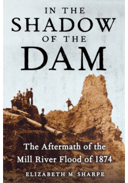 In the Shadow of the Dam