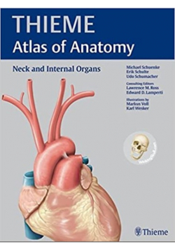Neck and Internal Organs