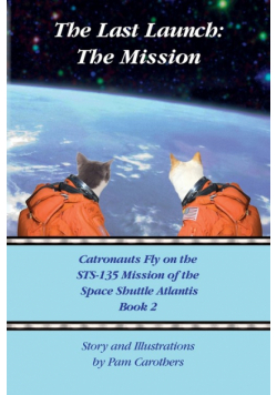 The Last Launch
