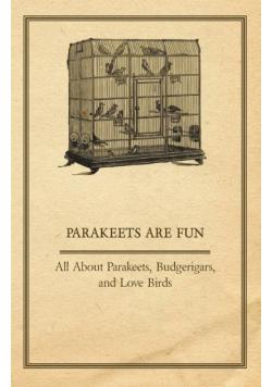 Parakeets are Fun - All About Parakeets, Budgerigars, and Love Birds