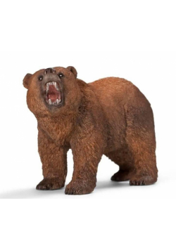 Niedźwiedź grizzly Wild Life