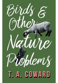 Bird and Other Nature Problems