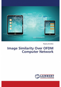 Image Similarity Over OFDM Computer Network