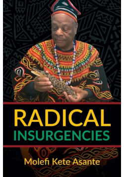 Radical Insurgencies