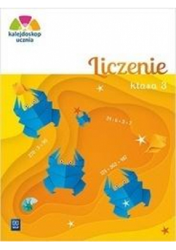 Kalejdoskop ucznia. Liczenie kl. 3 WSiP