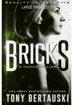 Bricks (Large Print Edition)