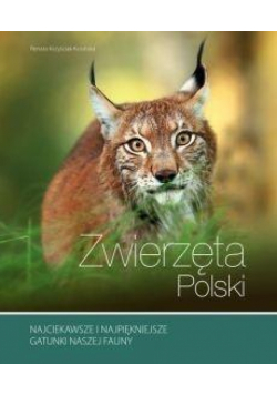 Zwierzęta Polski